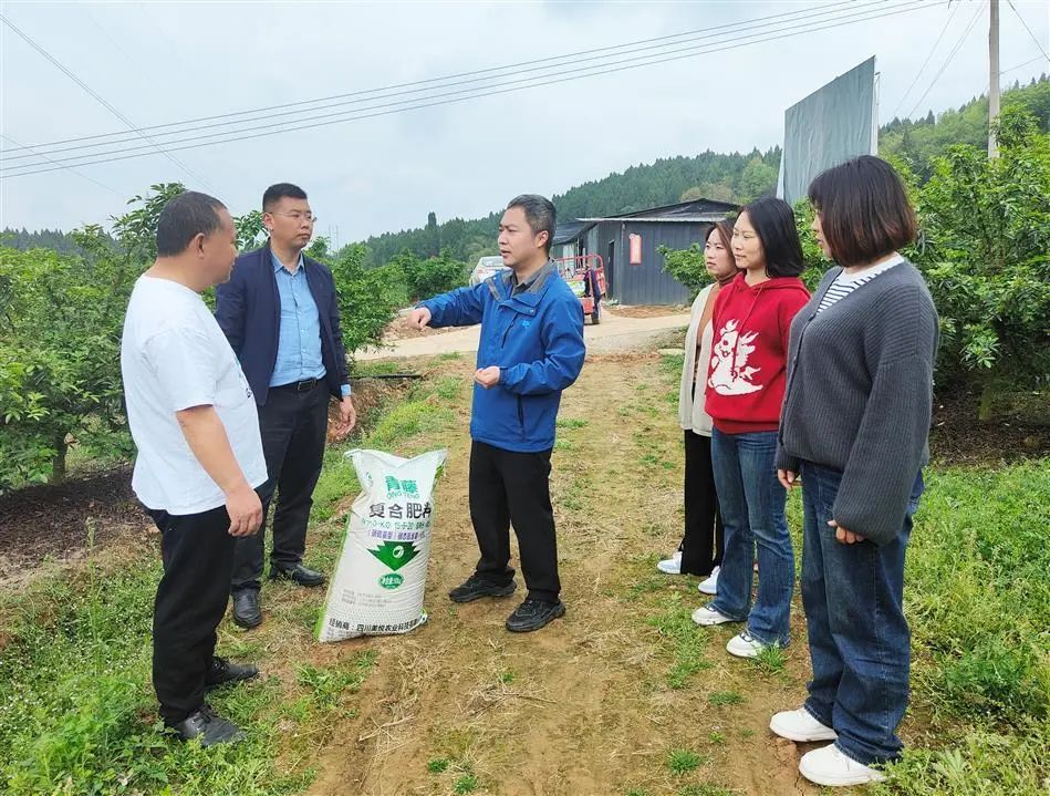 旌阳融媒：爱心化肥送上门 助力生产暖人心