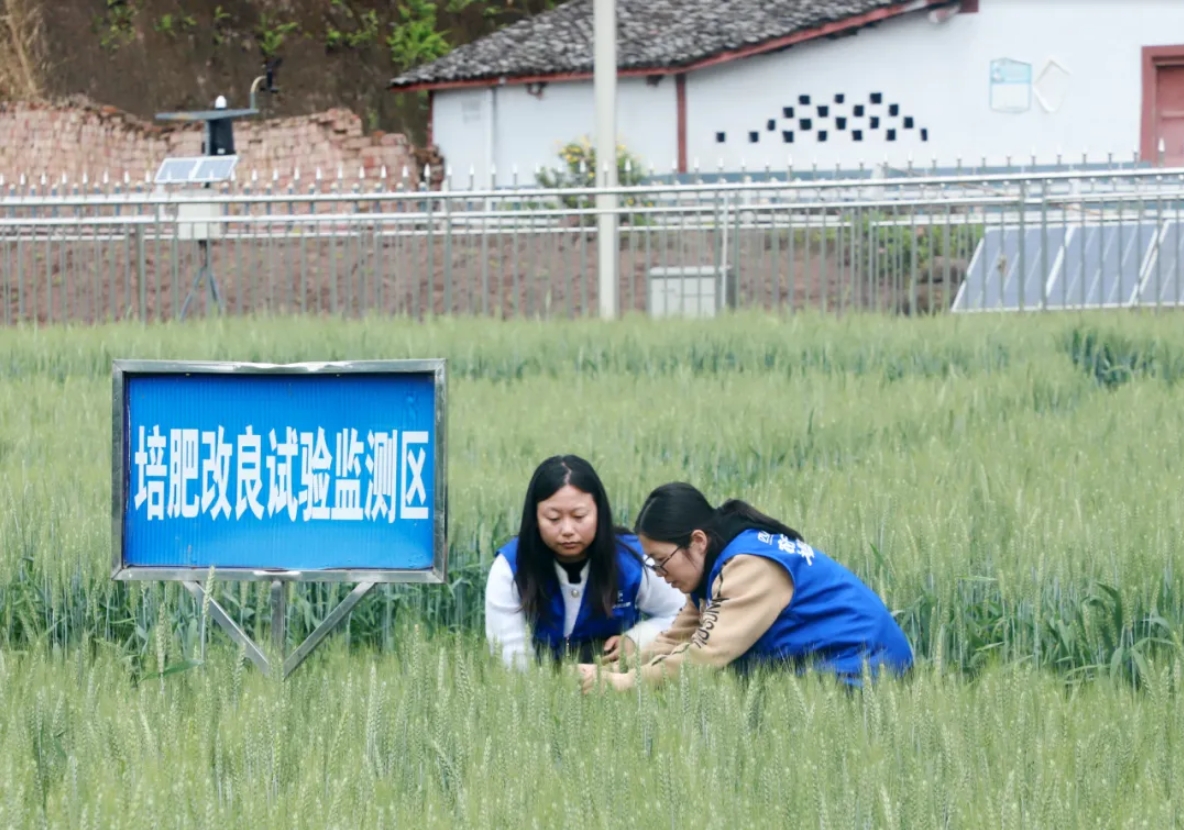 南方农村报：ag尊龙凯时·中国官方网站累计投入近1500万元建成5所科技小院